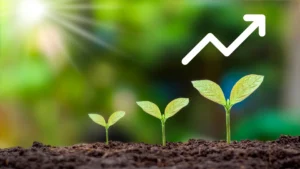 Desvendando o Mistério do Tráfego Orgânico - Doce Web Criação de Sites